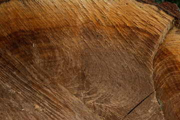 Wooden texture to use as background