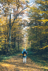 Fototapeta premium Hipster woman with backpack standing in amazing autumn forest, enjoying beautiful yellow trees