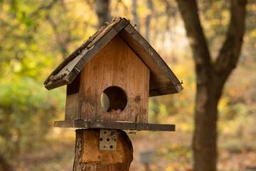 bird house in the woods on a tree