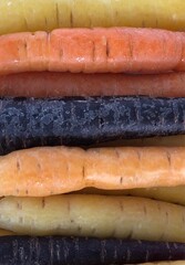 bunch of multi coloured carrots background