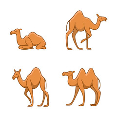 Cartoon camel sketch line icon. Сute animals set of icons.