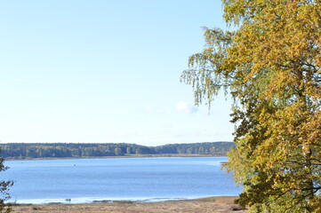 golden autumn in Pushkin places