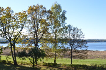 golden autumn in Pushkin places