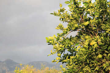 stormy sunset in the Turkish mountains near Kemer