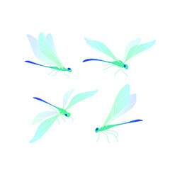 Dragonfly icon set. Different type of dragonfly. Vector colorful illustration for prints, clothing, packaging, stickers.