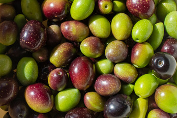 Aceitunas variadas