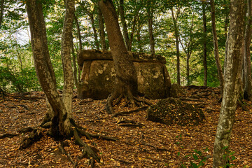 ancient megalith dolmen among trees in an autumn grove