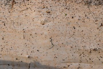 Wooden texture to use as background