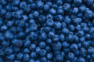 Fresh blueberry background. Texture blueberry berries close up.