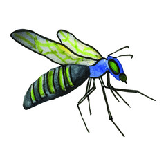 Insects watercolor, fly, wasp