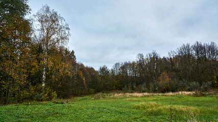 Obraz premium Typical Russian autumn landscape. Green grass, bright autumn trees and a formidable cloudy sky.
