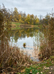 Russian autumn landscape with bright autumn trees reflecting in the water, a formidable darkened sky
