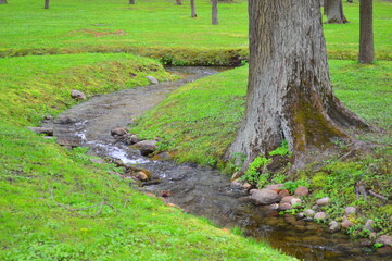 warm green spring day in Peterhof