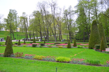 warm green spring day in Peterhof