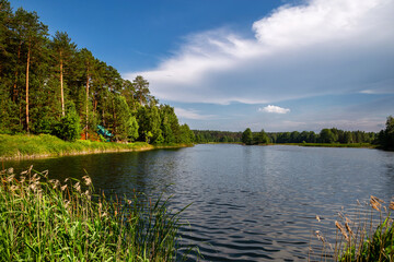 Beautiful lake in the woods with pine trees on the shore for summer vacation. Travel to Ukraine.