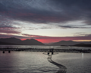 Sunset salmon farm