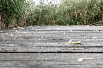 Herbstlaub auf einem Holzsteg, Hintergrundunschärfe