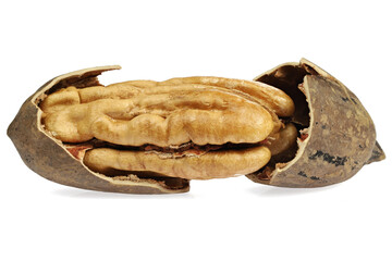 pecan nut isolated on white background