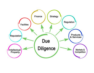 Eight Components of  Due Diligence