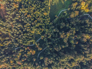 autumn beautiful park with trees aerial drone view