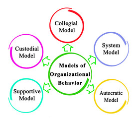 Five Models of  Organizational Behavior