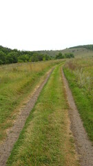 Fototapeta na wymiar field grass road summer walk nature clear day nature