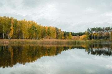 Fototapeta na wymiar Landscape of a beautiful lake at the edge of the forest 