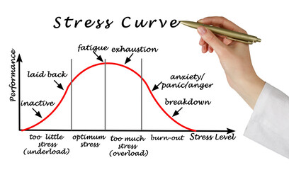Presenting Stress and Performance Curve.
