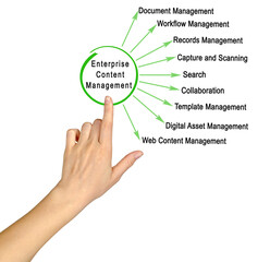  Enterprise Content Management (ECM)