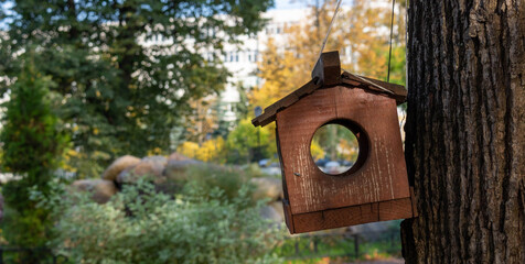 A brown squirrel feeder hangs from a tree in the Park. The concept of the environment
