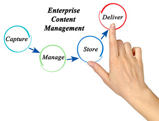 Fototapeta premium Process of Enterprise Content Management