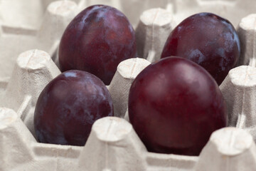 four purple plums in an egg cage