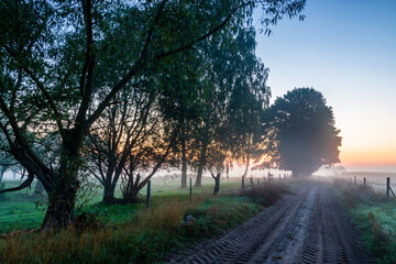 Fototapeta na wymiar Poranne mgły w dolinie Narwi, Podlasie, Polska