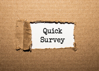 The text QUICK SURVEY. behind torn brown paper