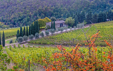 Primi cenni d'autunno