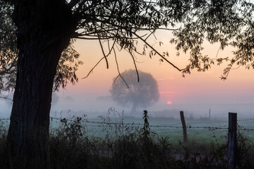 Poranne mgły w dolinie Narwi, Podlasie, Polska © podlaski49