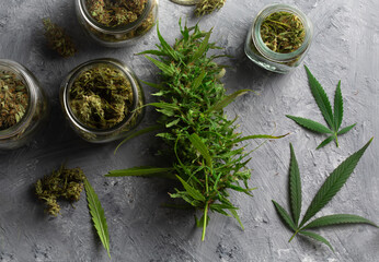 Fototapeta na wymiar Homegrown cannabis flower and marijuana leaves above view