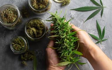 Fototapeta na wymiar Homegrown cannabis flower and marijuana leaves above view