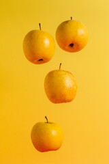 Four ripe juicy apples falling or levitating on simple yellow background showing healthy lifestyle and vegetarian.