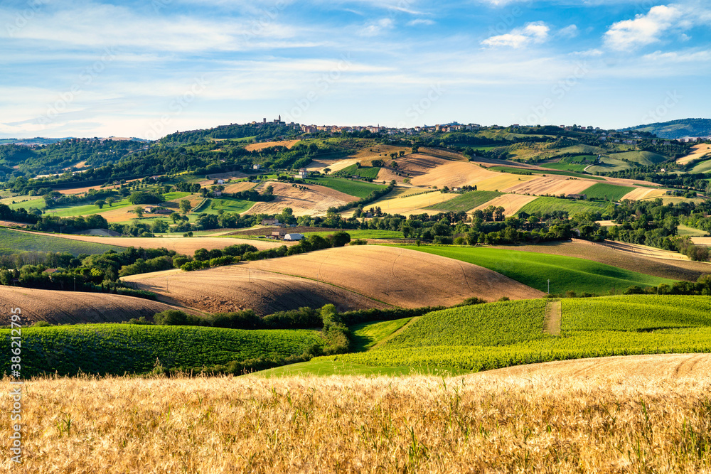 Wall mural Countryside, landscape and cultivated fields. Marche, Italy