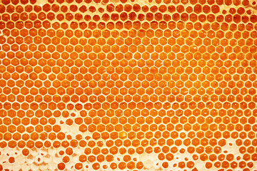 Honeycomb close-up, honey from the beehive. Natural farm product, it is free of nitrates and...