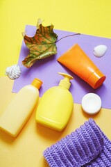 Autumn and winter skincare. Toiletries set, natural cosmetics. Organic shampoo, liquid soap and nutritious cream