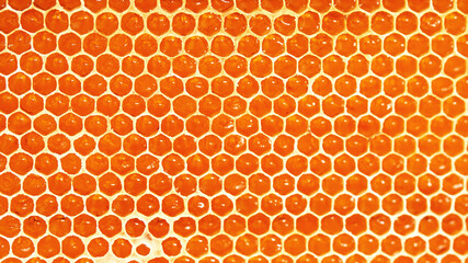 Honeycomb close-up, honey from the beehive. Natural farm product, it is free of nitrates and pesticides