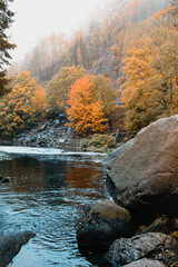 A calm and peaceful scene in the mountains on a foggy cold autumn day with warm tones. A wild river in a canyon with fall leaves. Exploring colorful orange nature in october, National Park Harz