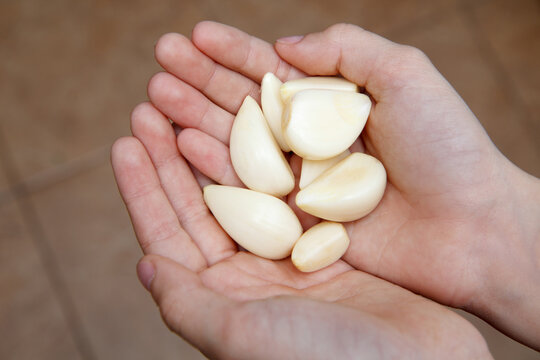 Peeled garlic cloves in the hands of a person. The concept of antiviral protection.
