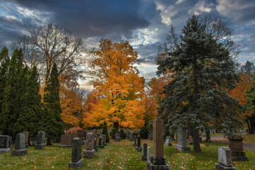 Fototapeta premium Cemetery on fall day beautiful orange maple among graves dramatic sky nobody