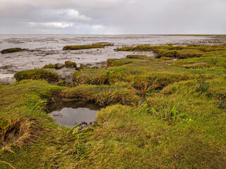 Naturstrand im Wattenmeer 
