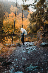Obraz premium A active outdoor girl with a transparent umbrella exploring the beautiful orange autumn nature. A rainy foggy fall day in the mountains. Backview of a woman walking in the nature. National Park Harz