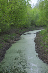 Small muddy forest river. A shallow pond with green water.