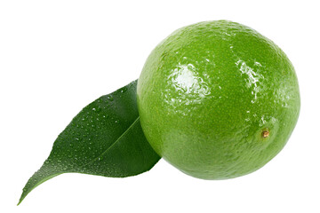 Fresh lime green with leaf